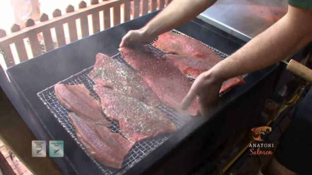 Salmon Fishing New Zealand Anatoki Golden Bay