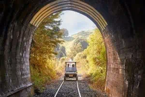 Rail Carts Forgotten World Highway